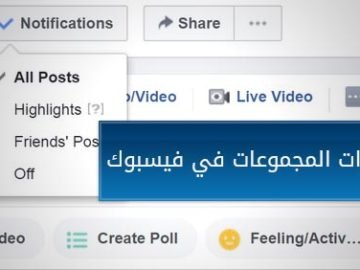 هل تود استثمار مالك مقابل 100% من الأرباح شهريا؟ فاحذر.. أنت مستهدف